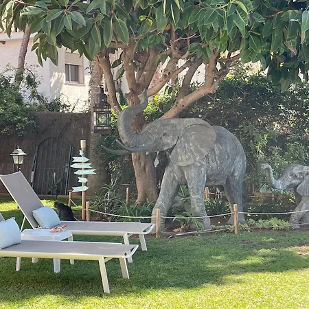 فندق مبيت وإفطار Casa Flora - Costa - Andalusie